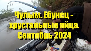 Чулым Ебунец  Хрустальные яйца Сентябрь 2024 [upl. by Ober]