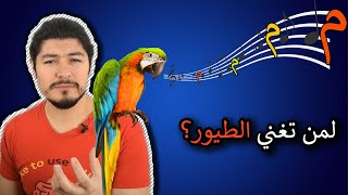 الطيور المثقفة 🦜🎓  ريبلز 151 [upl. by Yerhcaz]