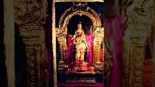 Meenachi reel hindutemple shortsreels devotional [upl. by Catton]