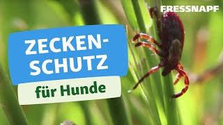 Zecken entfernen Hund  Gesundheit  FRESSNAPF [upl. by Katrine]