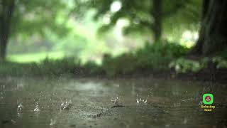 Heavy Rain Sound for study meditation deep Sleep and Relaxing [upl. by Yerdna322]