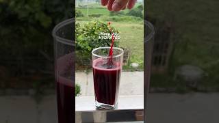 MONSTER PreWorkout Drink at Home [upl. by Anneirb777]