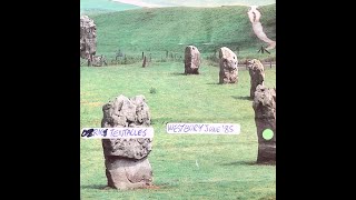 Ozric Tentacles Westbury White Horse 2161985 [upl. by Wilkie]