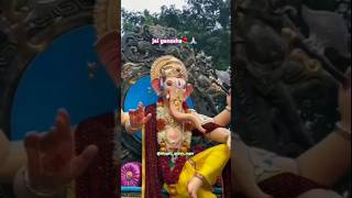 jai ganesha 🌹🙏🏻l ganesh chaturthi l ganesh ganeshchaturthi shortsfeed shorts trend viralvideo [upl. by Rafter]