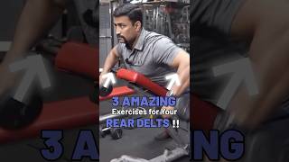 3 Amazing Exercises for Your Rear Delts  shorts [upl. by Enaamuj]