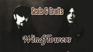 Windflowers  Seals amp Crofts Karaoke [upl. by Alita]