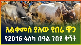 አልቀመስ ያለው የበሬ ዋጋ  የ2016 የፋስካ በዓል ገበያ ቅኝት  Easter holiday market  Gebeya media  Ethiopia [upl. by Soirtimid]