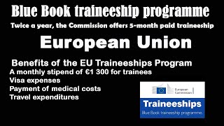 Blue Book Traineeship Program  Paid Training in Europe [upl. by Aiz]