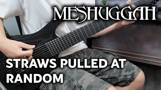 Meshuggah  Straws Pulled at Random  Guitar Cover [upl. by Walcott]