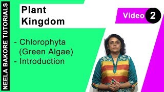 Plant Kingdom  NEET  Chlorophyta Green Algae  Introduction  Neela Bakore Tutorials [upl. by Eltsirk]