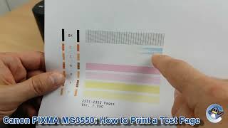 Canon Pixma MG3550 How to Print a Nozzle Check Test Page [upl. by Aiselad540]