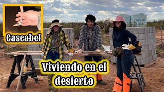 132 NOS SALIO UNA VÍBORA DE CASCABEL🔥COMENZAMOS CON LAS ZANJAS🌵rancho desierto vlog [upl. by Aedni]