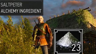 Witcher 3 where to find saltpeter [upl. by Brandie966]