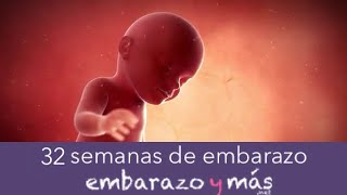 32 semanas de embarazo  Octavo mes  EMBARAZOYMAS [upl. by Nnaeinahpets]