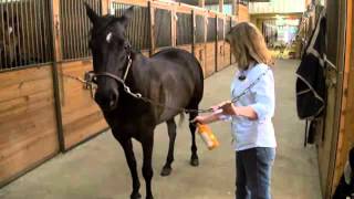 Absorbine Veterinary Liniment  Treat Lameness In Horses [upl. by Ahsiemak]