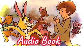 Pooh and Tiggers Bounce Audio Book [upl. by Haraf]