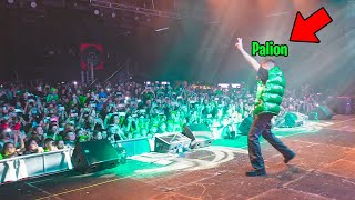 PIERWSZY KONCERT PALIONA w ŻYCIU [upl. by Koren704]