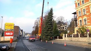 Weihnachtsbaum aus Markneukirchen steht auf dem Zwickauer Hauptmarkt [upl. by Decrem]