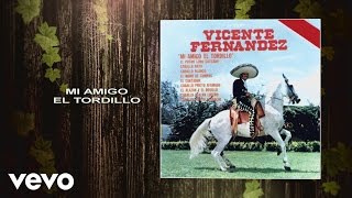 Vicente Fernández  Mi Amigo el Tordillo Cover Audio [upl. by Hamitaf]