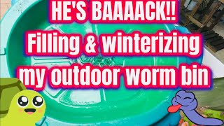 How I fill and winterize my outdoor worm bin [upl. by Alleroif]