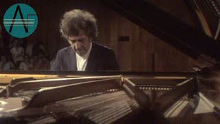 Vladimir Ashkenazy Beethoven  Piano Sonatas Op 101 amp 109 [upl. by Otti]