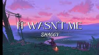 Shaggy  It Wasnt me lyrics [upl. by Riabuz]