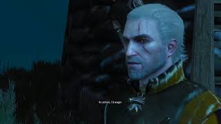 The Witcher 3  Dijkstra Asks Geralt for Help to Kill Radovid [upl. by Arvy]