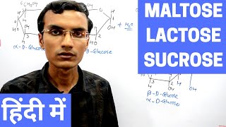 Disaccharides  Maltose Lactose and Sucrose in Hindi [upl. by Chip]