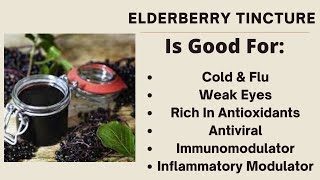 Elderberry Uses amp How To Make A Elderberry Tincture To Build your Immune Great for Colds [upl. by Oates]