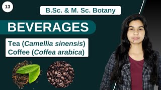 Economic Botany  BEVERAGES  Tea  Coffee  B Sc amp M Sc [upl. by Atibat272]