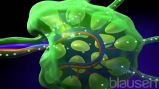 Lymphoma Animation [upl. by Virgie]