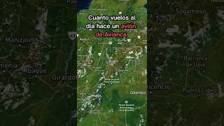 Cuantos vuelos al día hace un avión de Avianca carlosnomada aviacion vueloscolombia [upl. by Eckart]