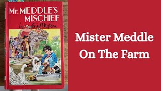 Mister Meddle On The Farm  Enid Blyton  Read Aloud [upl. by Offen]