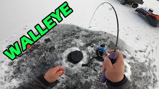 Really Fun Walleye Bite  Ice Fishing [upl. by Ecirbaf176]