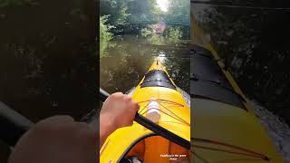 hamburg alster kayak paddling river kayaking germany water [upl. by Yelyr880]