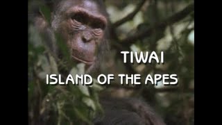 Tiwai Island of the Apes 1992 [upl. by Aleik]