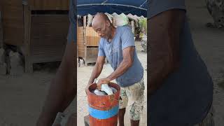 Fabrication du sorbet coco en Guadeloupe [upl. by Jaenicke]