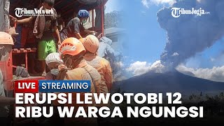 🔴 UPDATE Erupsi Gunung Lewotobi 12 Ribu Warga Mengungsi Penyakit Menghantui [upl. by Anaitak]