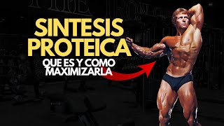 QUE ES LA SINTESIS PROTEICA 💪 [upl. by Nashom]