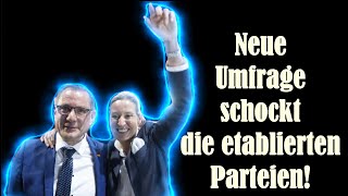 🚨AfD auf Rekordhoch Sensationelle Umfrageergebnisse zur Bundestagswahl [upl. by Foote]