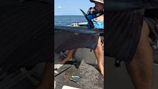 Monster Fish  How did he Get it shorts fishing billfish sailing ocean new today boat new [upl. by Saphra47]