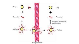 Prodrug42 [upl. by Odlanyer]