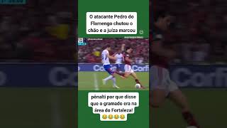 VARmengo em Ação 😂😂 humor [upl. by Pittman628]