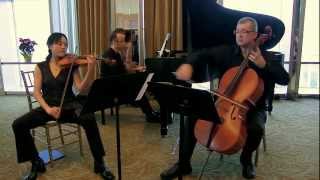 SCHUBERT Sonatensatz D 28 Piano Trio [upl. by Buckels]