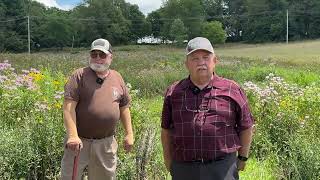 Bobwhite Quail Released [upl. by Sachs]