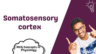 Somatosensory cortex  MCQ concepts [upl. by Issim]