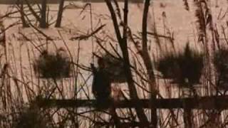 Aboriginal Britain Ray Mears Bushcraft S1E1 part 4 [upl. by Alidis200]