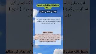 Sahih alBukhari Hadees No 09 The Value of Modesty in Islam [upl. by Nyliret879]