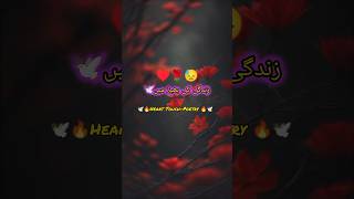 زندگی کی بھیڑ میں💔Shorts youtubeshorts Viral poetry [upl. by Briant574]