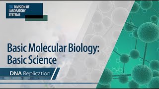 Basic Molecular Biology Basic Science – DNA Replication [upl. by Silevi944]